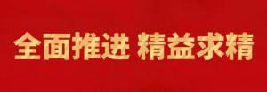 履践致远向未来 | 洛阳正大精英特训营“磐石计划”精益生产项目召开复盘追踪会